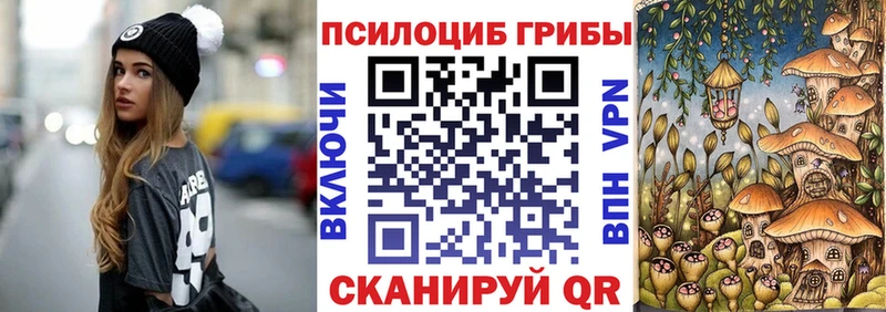 дарнет шоп  это официальный сайт  Галлюциногенные грибы Psilocybe  Княгинино  ОМГ ОМГ сайт 